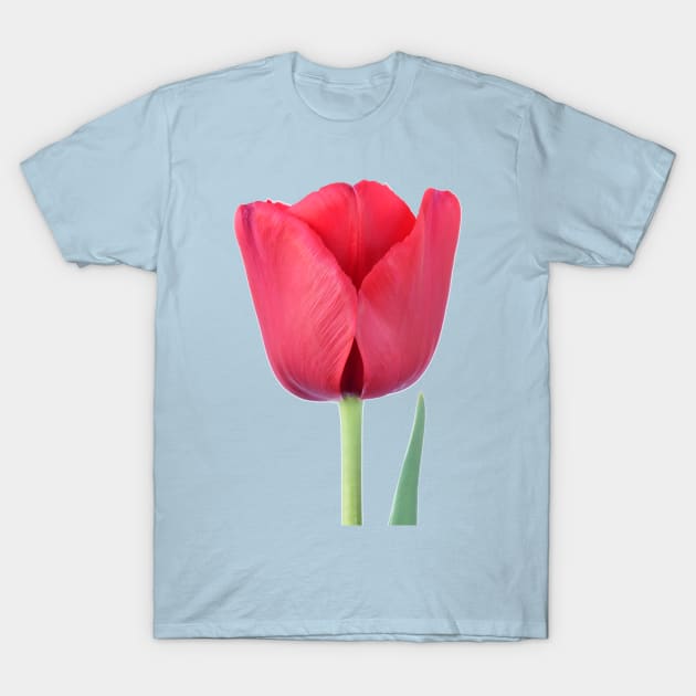 Tulip T-Shirt by chrisburrows